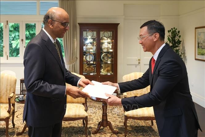 Singapurs Präsident will Zusammenarbeit mit Vietnam in potentiellen Bereichen stärken - ảnh 1