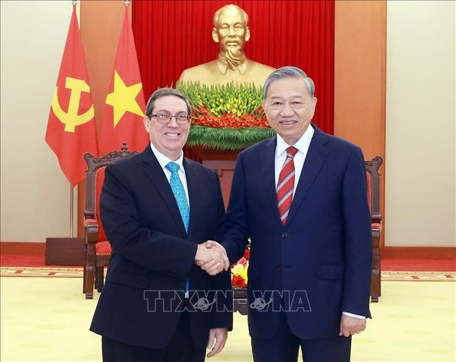 Bilaterale Beziehungen zwischen Vietnam und Kuba weiter verstärkt - ảnh 1