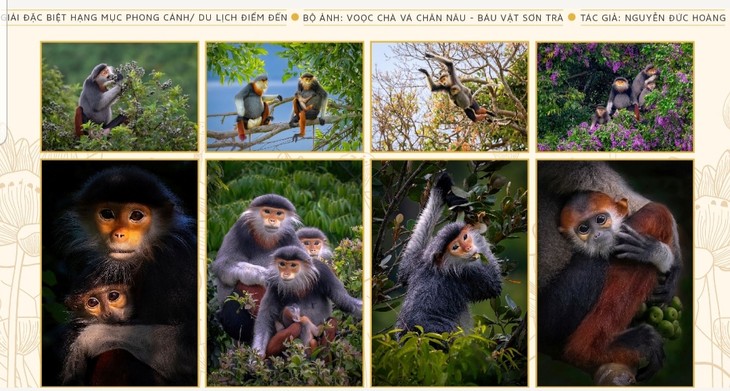 Foto-Wettbewerb „Reise des Erbes 2025” gestartet - ảnh 1