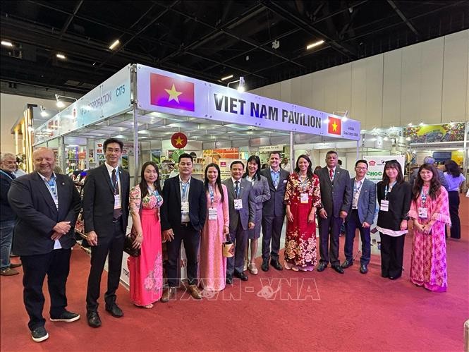 Vietnam und Brasilien erwertern Zusammenarbeitschancen in Handel und Investitionen - ảnh 1