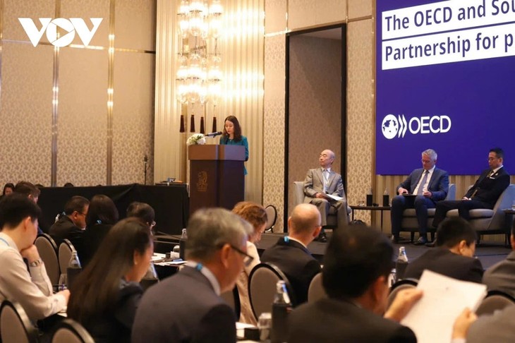 Vietnam erfüllt die Rolle als Ko-Vorsitzender des Regionalprogramms für Südostasien der OECD  - ảnh 1