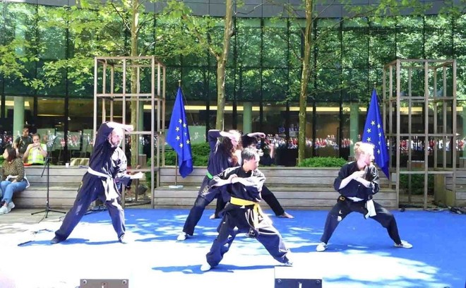 Bunte Farben der vietnamesischen Kultur beim „Open Day” in Europa - ảnh 1