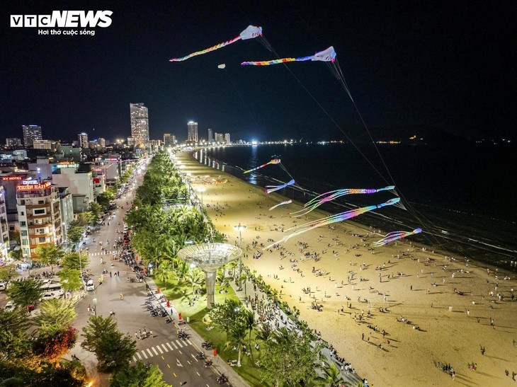 Die prächtige Küstenstadt Quy Nhon in Gia Lai in der Nacht - ảnh 5
