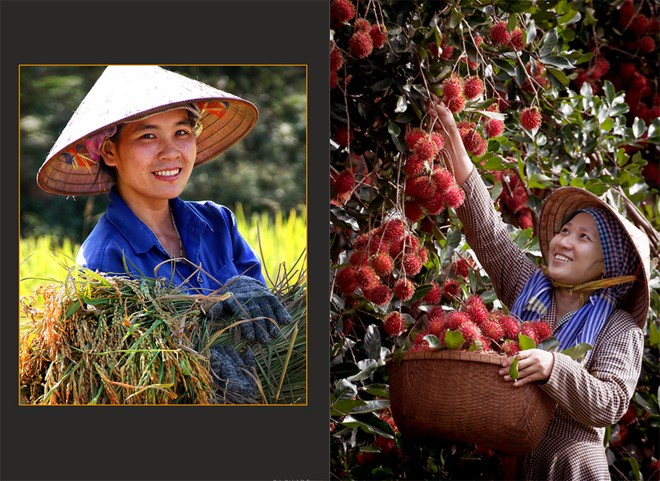 Musikjournal vom 19.10.2025  - ảnh 1