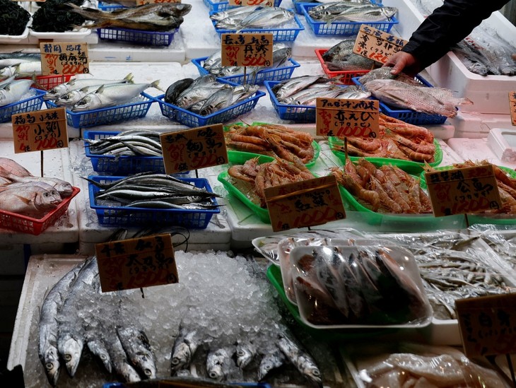 China stoppt den Einfuhr von Fischereiprodukten aus Japan - ảnh 1