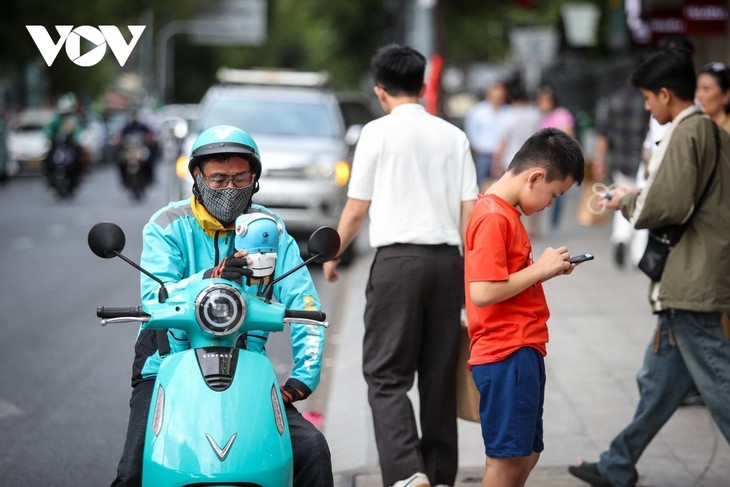 Ho-Chi-Minh-Stadt treibt die Begrünung der Stadt voran - ảnh 2