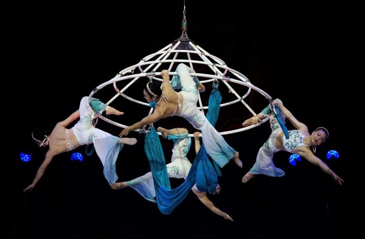 Viele Zirkus-Aufführungen finden im Jahr 2026 statt - ảnh 1