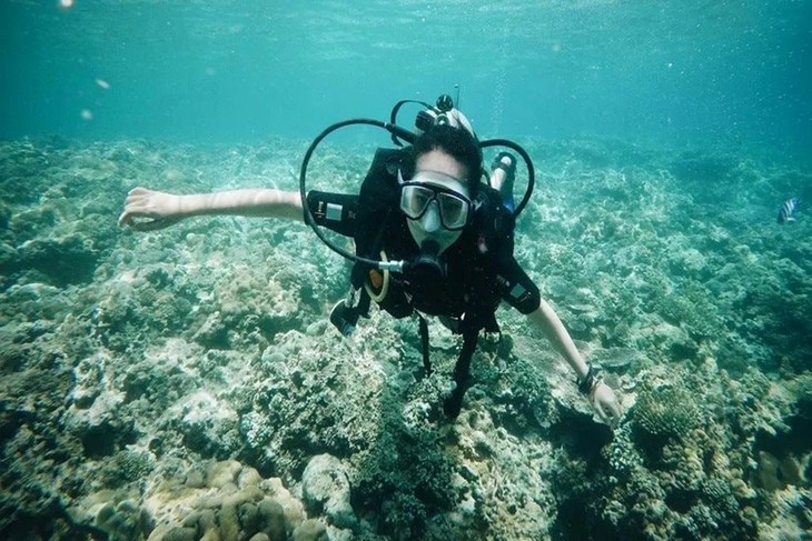 Vietnam – eines der schönsten Reiseziele der Welt - ảnh 9