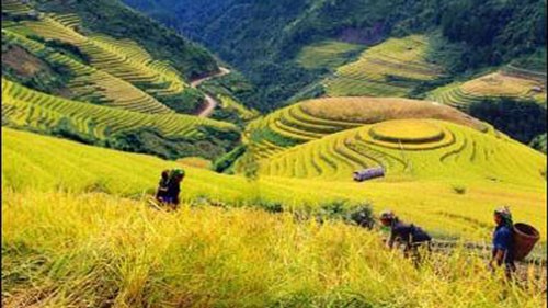 Changing Vietnam’s rural appearance - ảnh 1