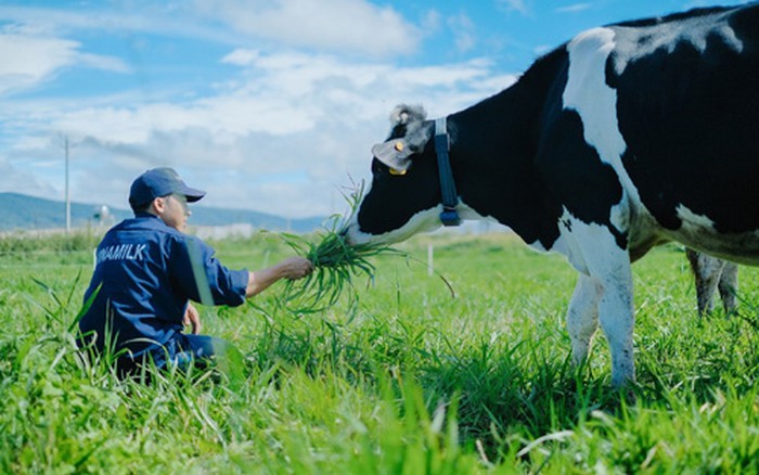 Vietnamese dairy industry targets 1 billion litres in 2020 - ảnh 1