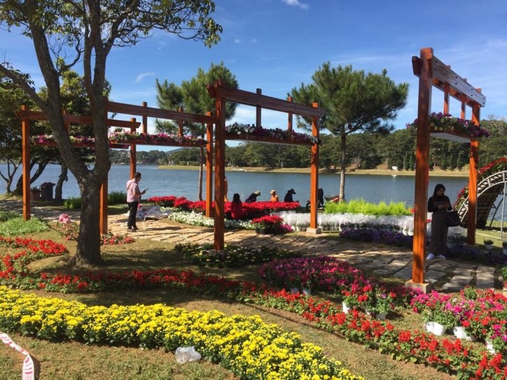 2019 Da Lat Flower Festival kicks off - ảnh 2