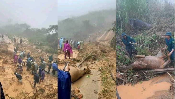 5 killed in storm Noul - ảnh 1