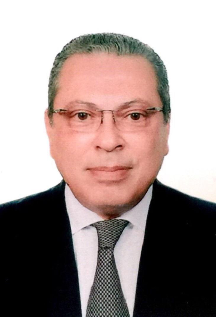 Egyptian Ambassador highlights time-honored Vietnam-Egypt relations  - ảnh 1