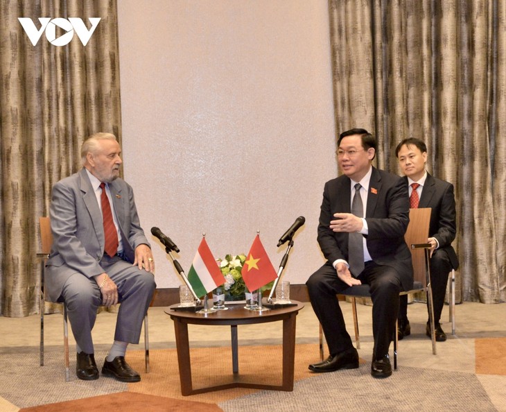 Vietnam, Hungary diversify people-to-people exchange - ảnh 1