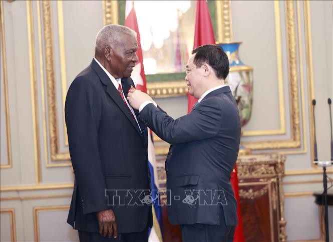 Vietnam, Cuba seek measures to strengthen fraternal solidarity - ảnh 2