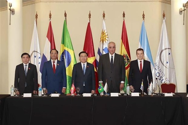 Vietnam, MERCOSUR seek to start FTA negotiations soon - ảnh 1