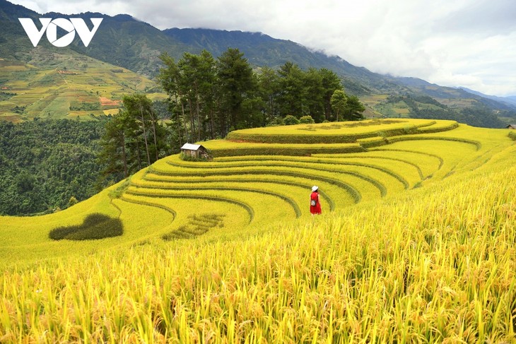 2023 Mu Cang Chai Golden Season tourism program kicks off    - ảnh 1