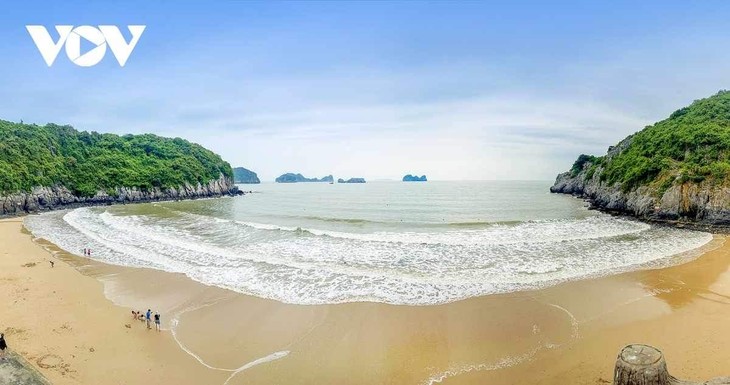 Ha Long Bay-Cat Ba Archipelago recognized as world natural heritage - ảnh 2