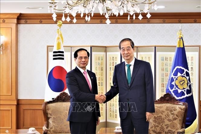 Vietnam, RoK agree to boost substantive Comprehensive Strategic Partnership - ảnh 1