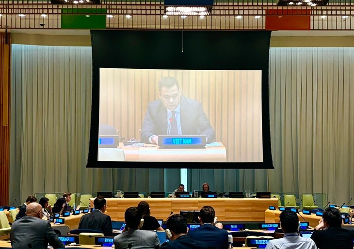 Vietnam calls on countries to adhere to basic principles of UN Charter - ảnh 1