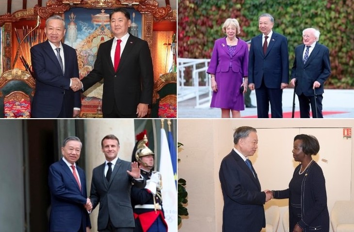 Top leader’s trip to Mongolia, Ireland, France, leaves historic marks: FM - ảnh 1