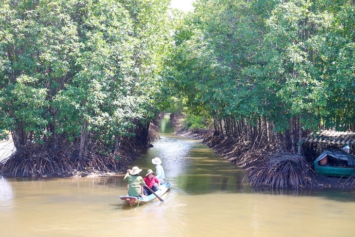 Vietnam-UNDP project safeguards coastal communities from climate impacts - ảnh 1