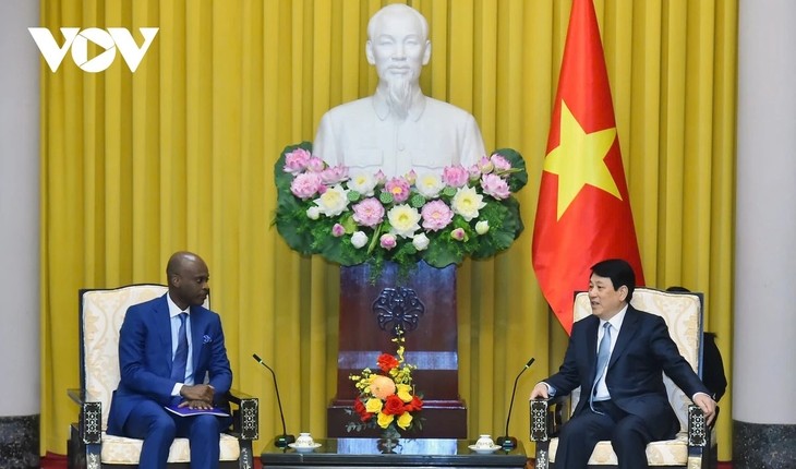 Vietnam,Togo reaffirm partnership on 50th diplomatic anniversary  - ảnh 1