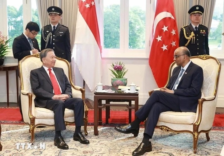 Vietnam, Singapore discuss implementing newly-established Comprehensive Strategic Partnership - ảnh 1