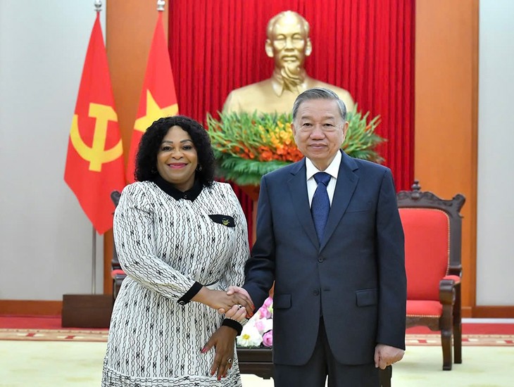 Party chief receives ANC First Deputy Secretary-General  - ảnh 1