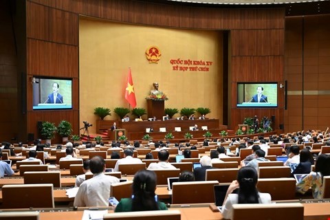 Lawmakers discuss constitutional changes   - ảnh 1