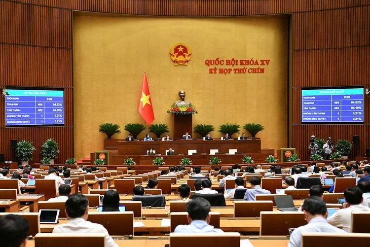 100% of voter petitions addressed for the first time: NA Vice Chairman - ảnh 1