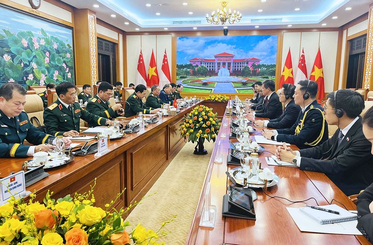 Singapore ready to train Vietnamese military officers as defense ties deepen - ảnh 1