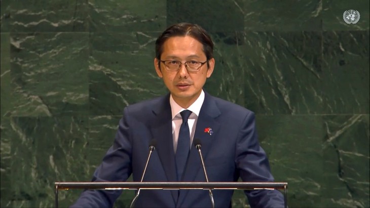 Vietnam reaffirms support for two-state solution, full UN membership for Palestine - ảnh 1