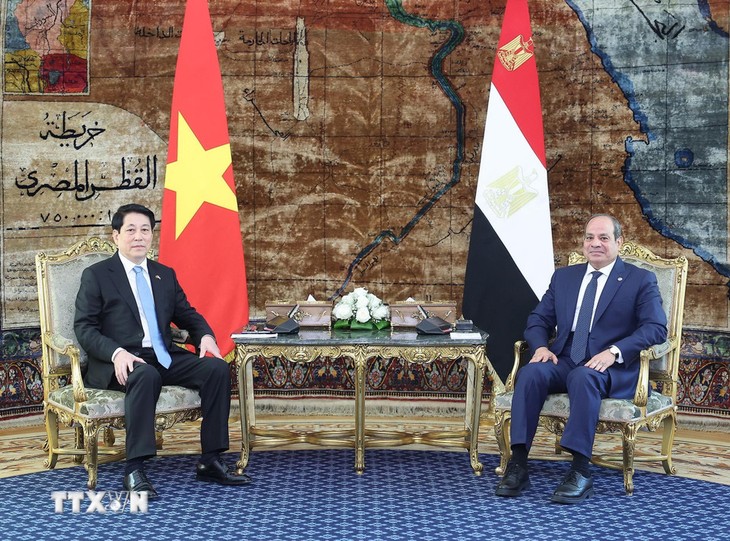 Vietnam, Egypt elevate ties to Comprehensive Partnership  - ảnh 1
