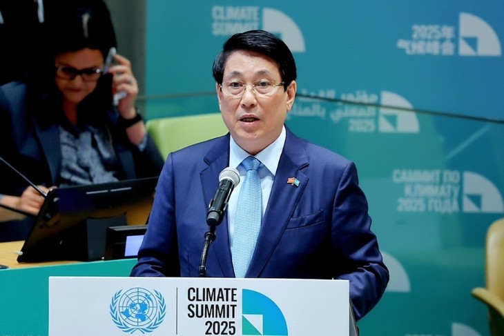 Vietnam urges countries to fully deliver on climate finance commitments - ảnh 1