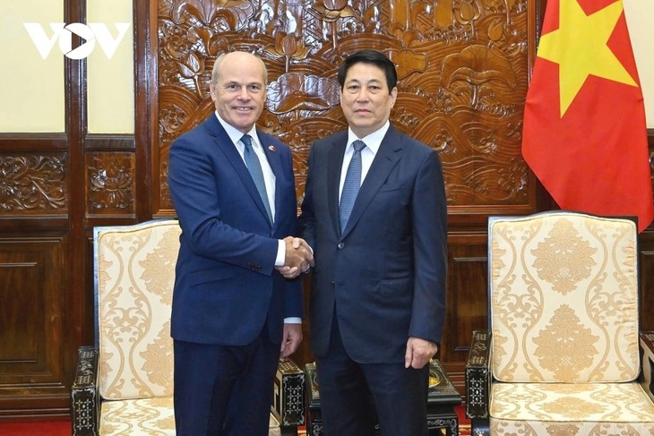 President welcomes newly-appointed foreign ambassadors  - ảnh 1