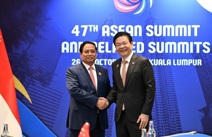 Vietnam, Singapore to develop annual roadmaps for Framework Agreement on Economic Connectivity  - ảnh 1