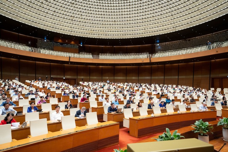 Carbon market seen as key to Vietnam’s green growth and net-zero goal - ảnh 1