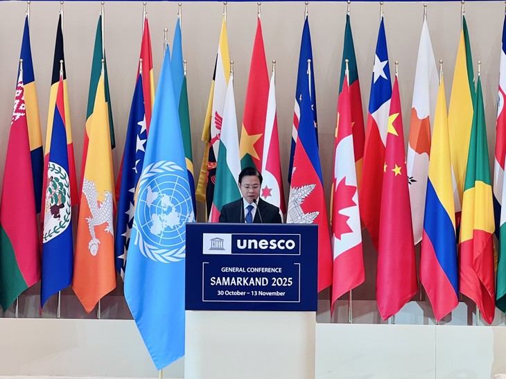 Vietnam elected Vice President of 43rd session of UNESCO’s General Conference - ảnh 1