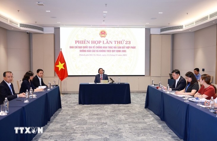 PM orders report on lifting EC’s IUU yellow card be completed next week - ảnh 1