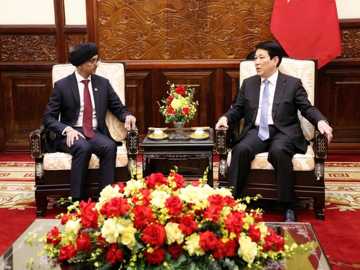 Vietnam deepens ties with partners as State President welcomes incoming Ambassadors - ảnh 1