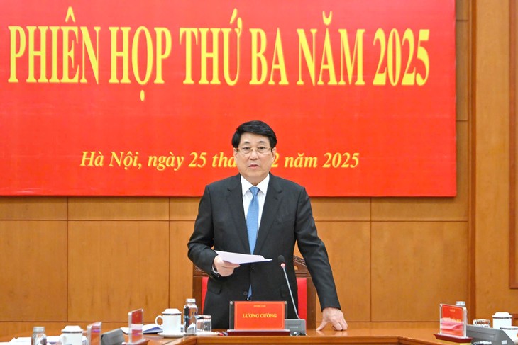 President urges full institutionalization of Party guidelines in judicial reform - ảnh 1
