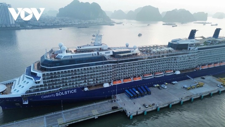 Tourism boom continues as Vietnam welcomes first foreign visitors of 2026 - ảnh 2