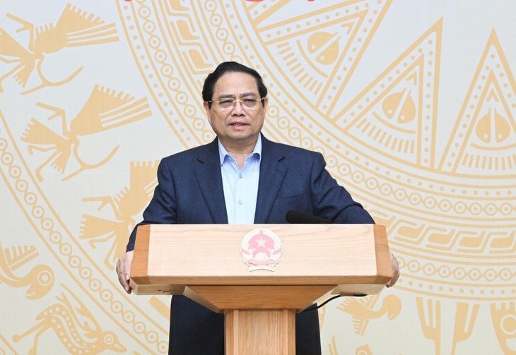PM calls for effective implementation of Resolution 79 to support double-digit growth - ảnh 1