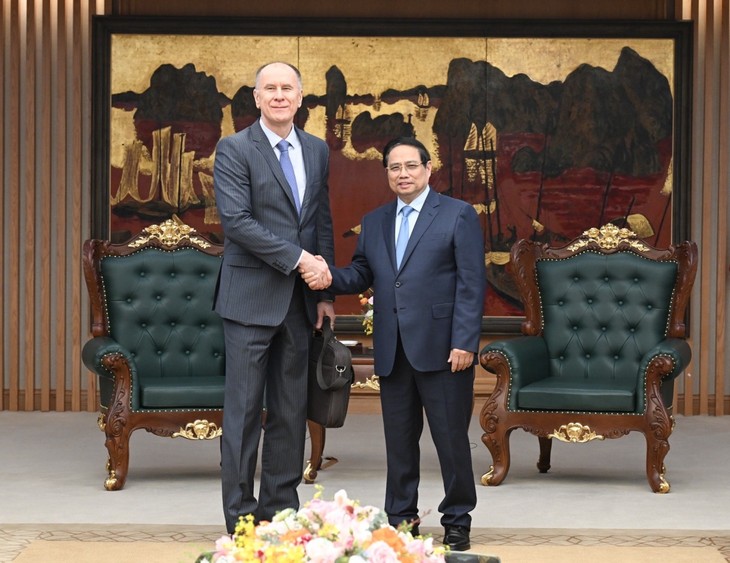 Vietnam to pursue sustainable growth, not just stimulus: PM - ảnh 1