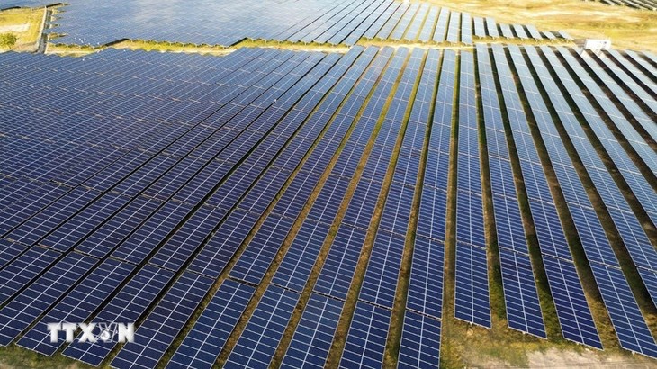 Vietnam has strong foundations for energy and fuel self-reliance: Australian expert - ảnh 1