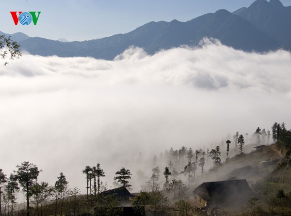 ภาพที่สวยงามของเมือง Sapa- เมืองแห่งทะเลหมอกที่จังหวัด Lao Cai - ảnh 1