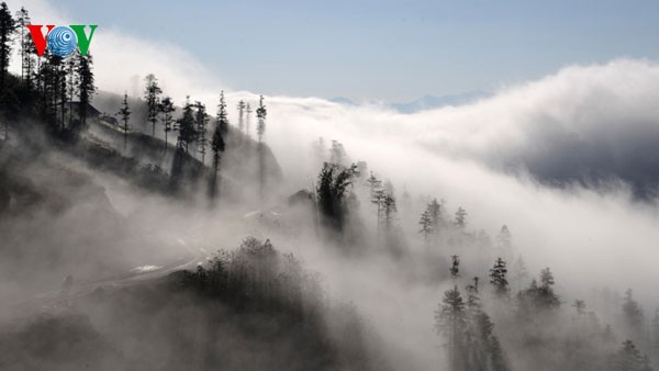 ภาพที่สวยงามของเมือง Sapa- เมืองแห่งทะเลหมอกที่จังหวัด Lao Cai - ảnh 3