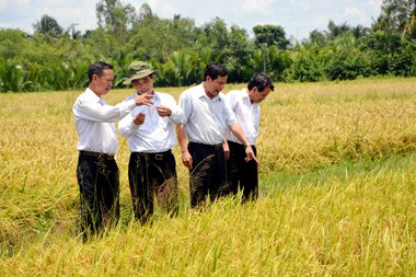 ชีวิตใหม่ที่หมู่บ้านต่างๆในจังหวัดซอกจัง - ảnh 1