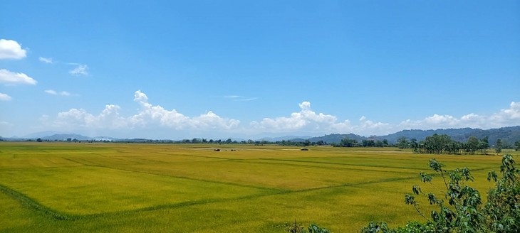 เยือนแผ่นดินแห่งภูเขาไฟ Krông Nô ค้นคว้าวัฒนธรรมกับข้าวพันธุ์พื้นเมืองที่ขึ้นชื่อ - ảnh 1